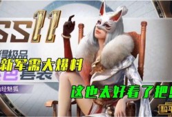 近期军需爆料最新消息视频,军需爆料视频深度解析